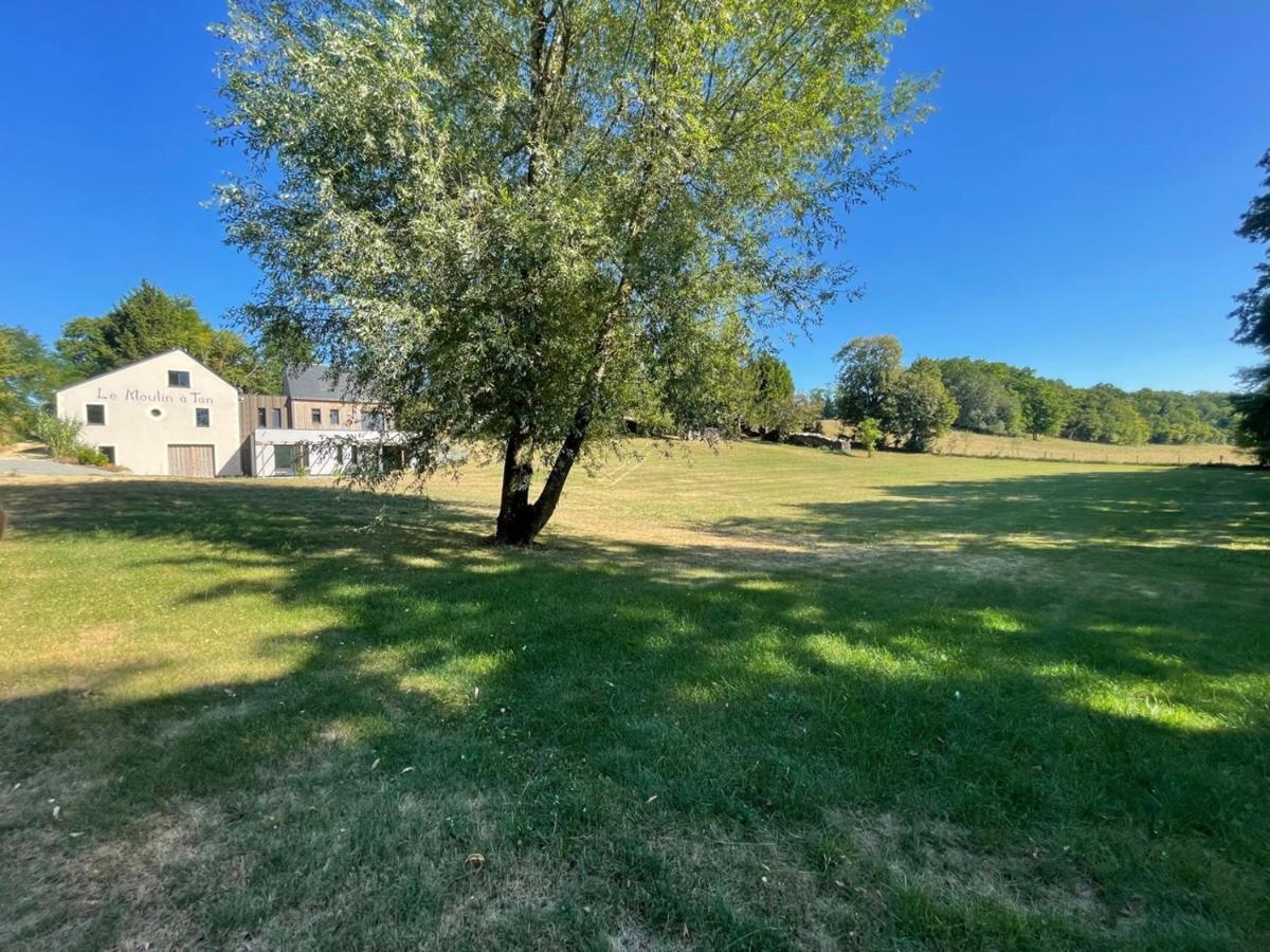 Gîtes du Moulin à Tan à Saché 37 Esterno foto